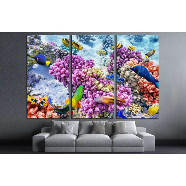 Wonderful and beautiful underwater world with corals and tropical fish №3065 Ready to Hang Canvas Print Online Sale - Image 2