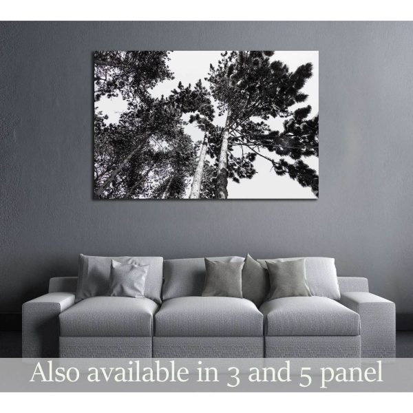 Treetop covered with snow №2837 Ready to Hang Canvas Print Online Hot Sale