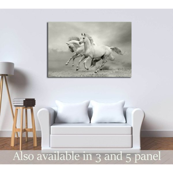 horses in summer №2786 Ready to Hang Canvas Print For Cheap