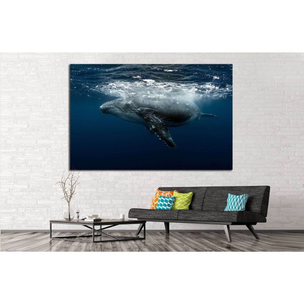 Large Whale №513 Ready to Hang Canvas Print on Sale - Image 3