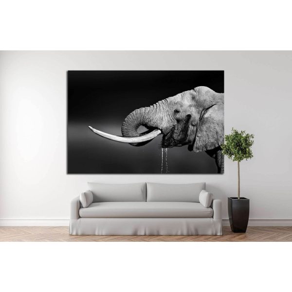 Elephant bull with large tusks in Addo National Park №1330 Ready to Hang Canvas Print Discount - Image 2