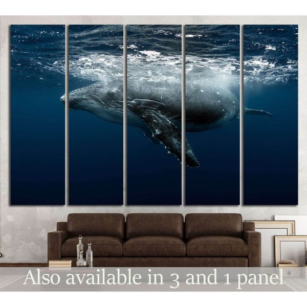 Large Whale №513 Ready to Hang Canvas Print on Sale
