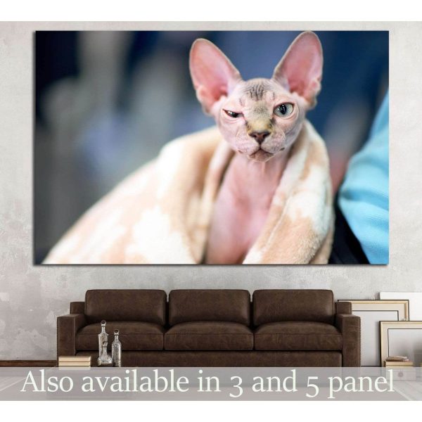 Serious cat №13 Ready to Hang Canvas Print Hot on Sale