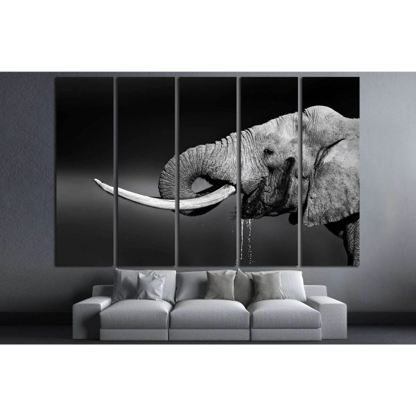 Elephant bull with large tusks in Addo National Park №1330 Ready to Hang Canvas Print Discount - Image 3